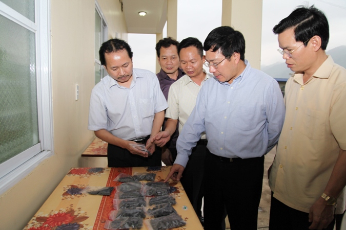 จังหวัดห่ายางผลักดันงานด้านการต่างประเทศ สร้างก้าวกระโดดในการพัฒนาเศรษฐกิจ - สังคม